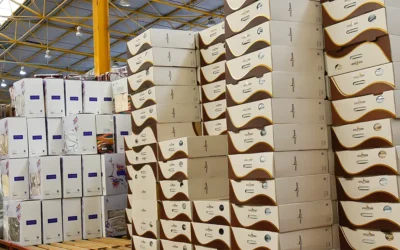 Bulk Buying for Big Impact Why Retailers and Decorators Choose Sesli Textiles
